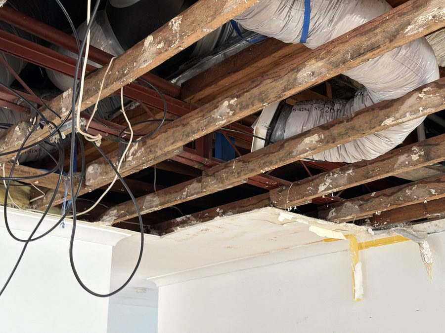 Water ingress and timber decay in ceiling cavity