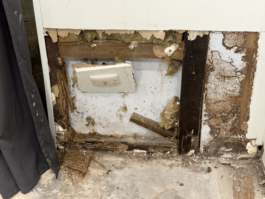 Termite damage exposed in wall cavity
